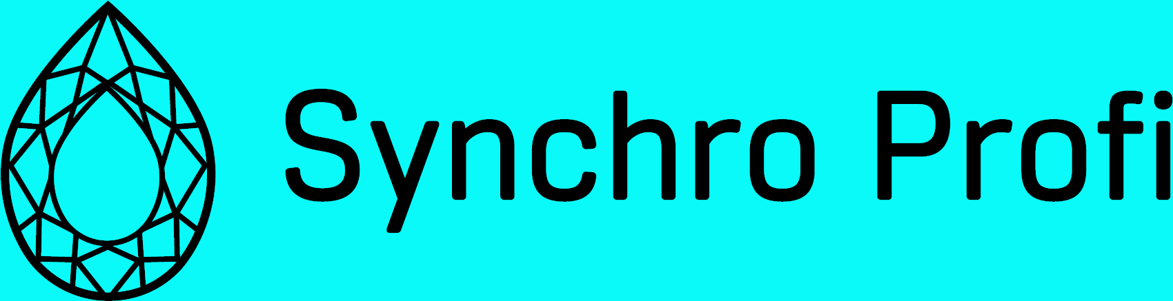 Synchro Profi